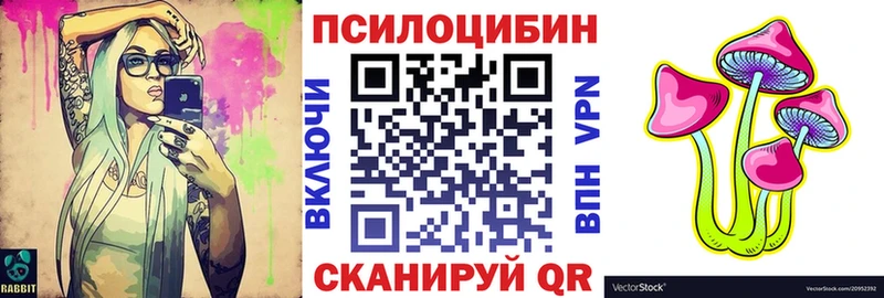 Псилоцибиновые грибы Psilocybe  мега онион  Бабаево  цена наркотик 